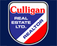 Culligan Real Estate
